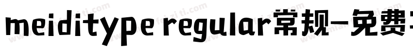 meiditype regular常规字体转换